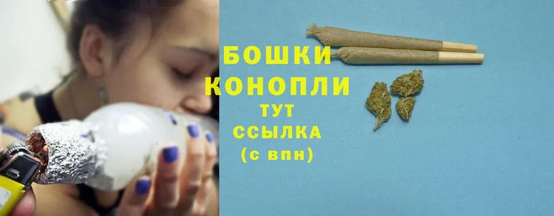 Бошки Шишки OG Kush  Кировск 